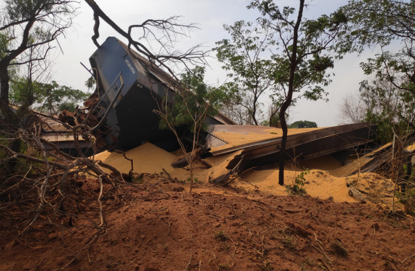Cerca de 30 vagões descarrilharam na região da chácara Flora