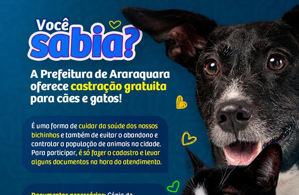 Bem-Estar Animal: Programa municipal oferece castração gratuita de cães e gatos